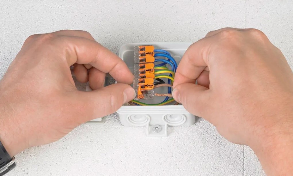 WAGO 221 Terminal block (2)